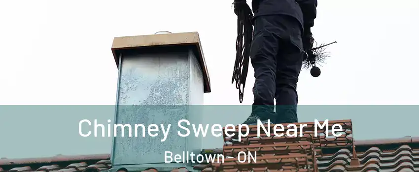  Chimney Sweep Near Me Belltown - ON