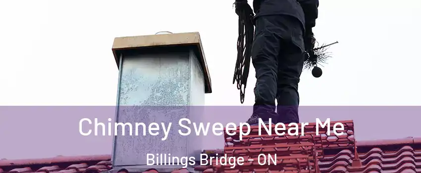  Chimney Sweep Near Me Billings Bridge - ON