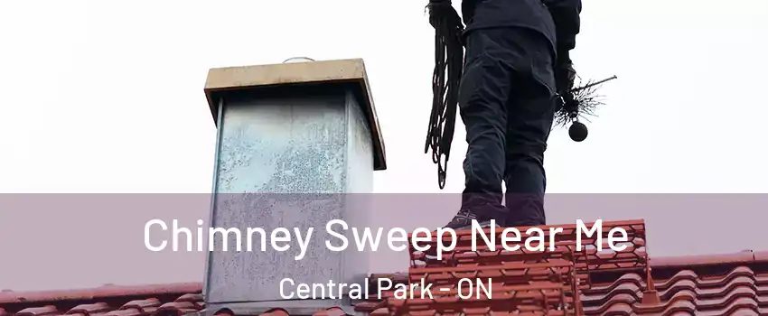  Chimney Sweep Near Me Central Park - ON