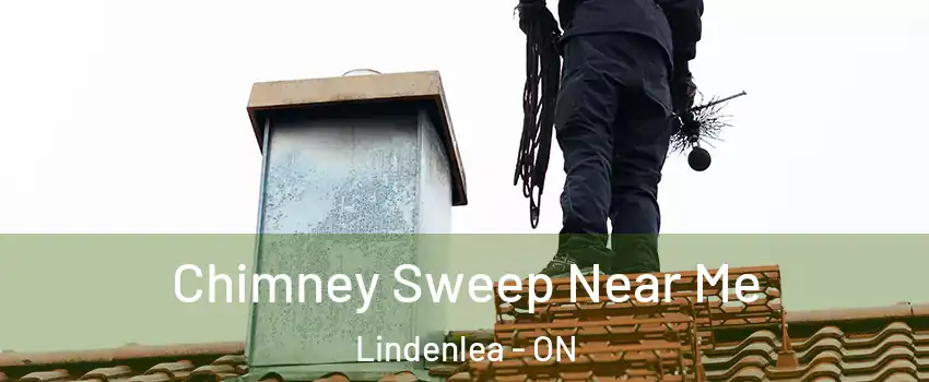  Chimney Sweep Near Me Lindenlea - ON