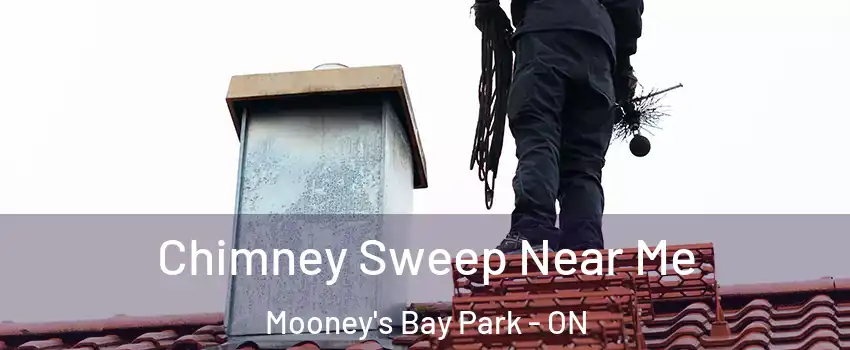  Chimney Sweep Near Me Mooney's Bay Park - ON