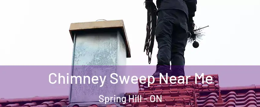  Chimney Sweep Near Me Spring Hill - ON