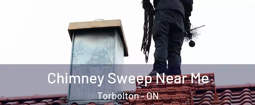  Chimney Sweep Near Me Torbolton - ON