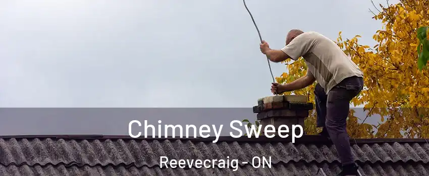  Chimney Sweep Reevecraig - ON