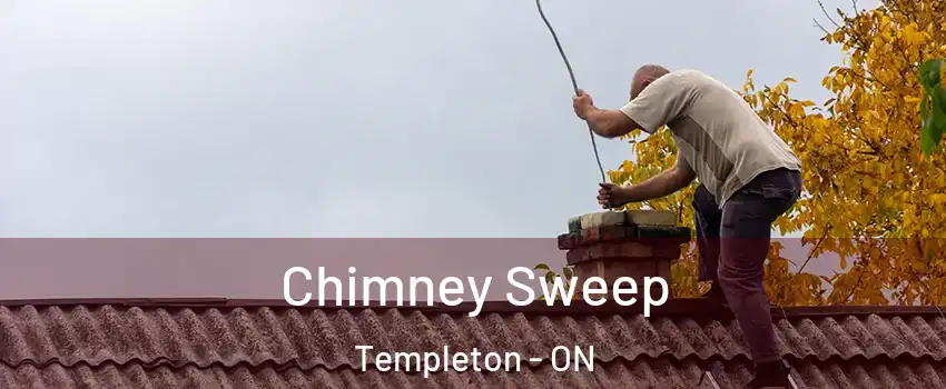  Chimney Sweep Templeton - ON