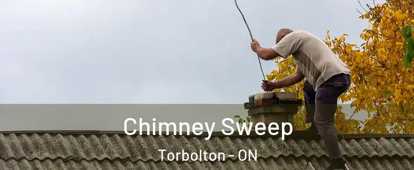  Chimney Sweep Torbolton - ON