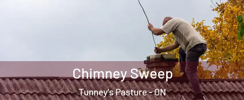  Chimney Sweep Tunney's Pasture - ON