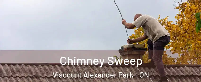  Chimney Sweep Viscount Alexander Park - ON