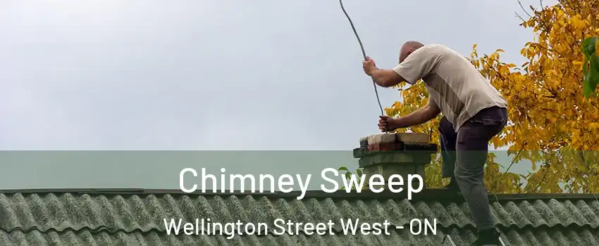  Chimney Sweep Wellington Street West - ON