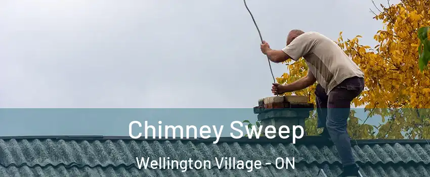  Chimney Sweep Wellington Village - ON