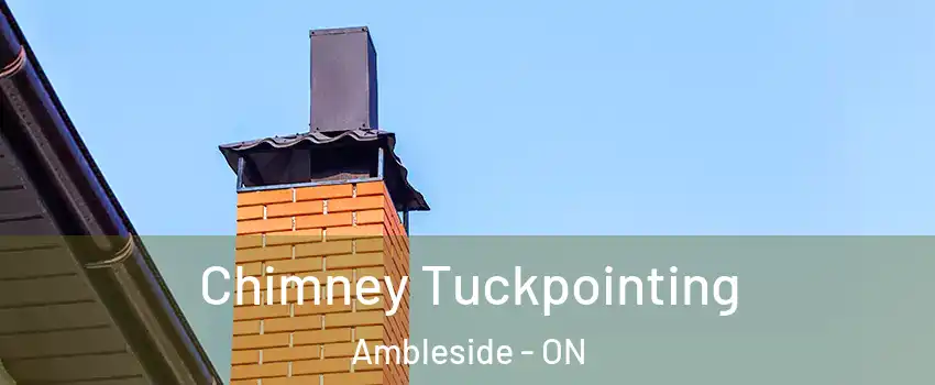  Chimney Tuckpointing Ambleside - ON