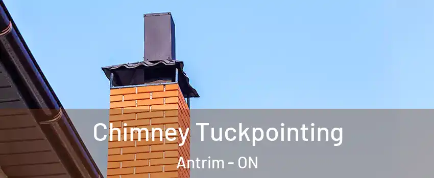  Chimney Tuckpointing Antrim - ON