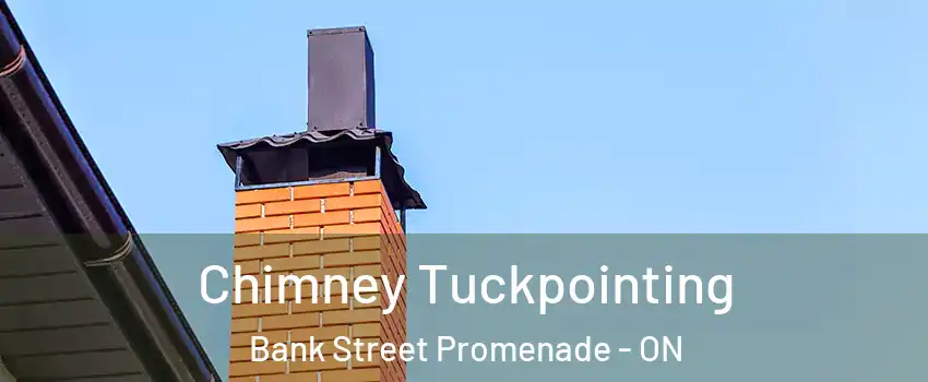  Chimney Tuckpointing Bank Street Promenade - ON