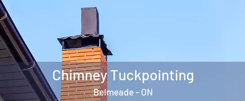  Chimney Tuckpointing Belmeade - ON