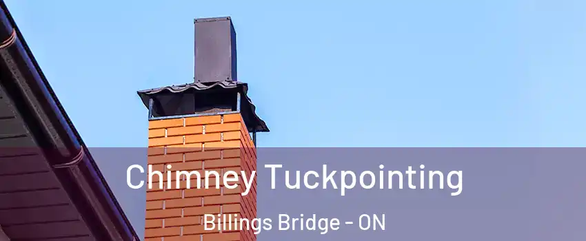  Chimney Tuckpointing Billings Bridge - ON