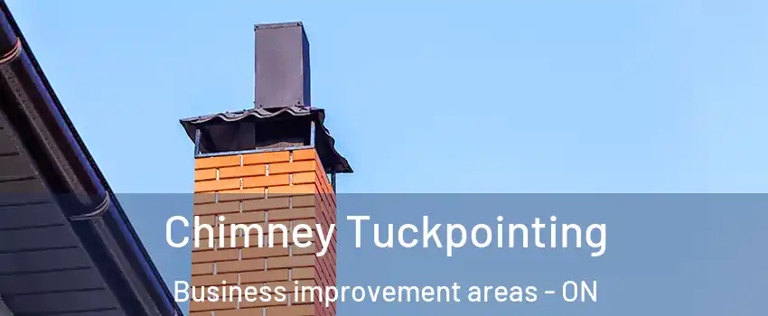  Chimney Tuckpointing Business improvement areas - ON