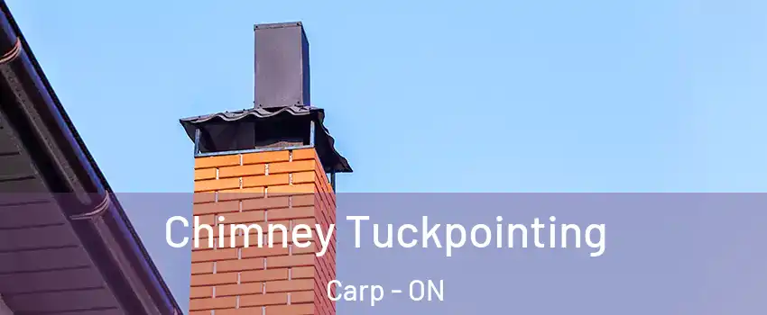  Chimney Tuckpointing Carp - ON