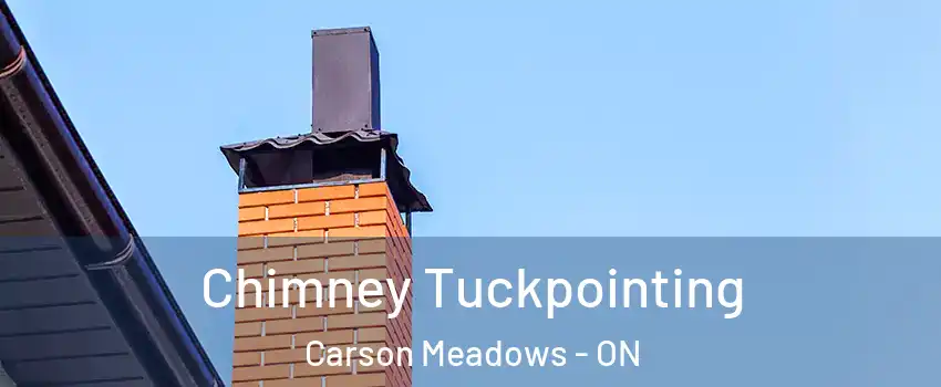  Chimney Tuckpointing Carson Meadows - ON