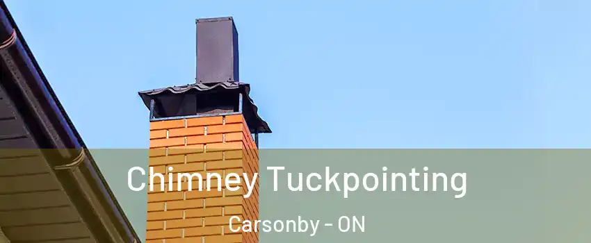  Chimney Tuckpointing Carsonby - ON