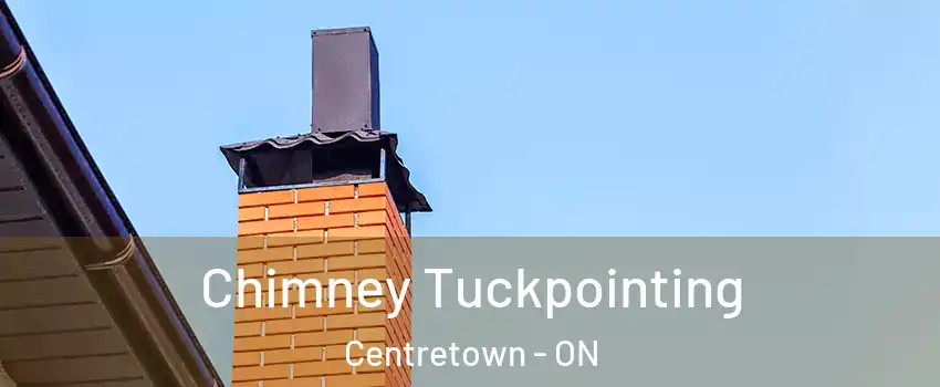  Chimney Tuckpointing Centretown - ON