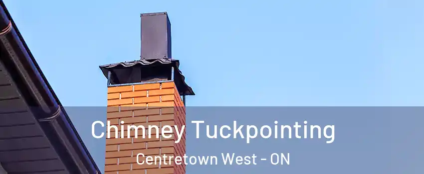  Chimney Tuckpointing Centretown West - ON