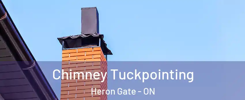  Chimney Tuckpointing Heron Gate - ON