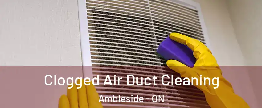  Clogged Air Duct Cleaning Ambleside - ON