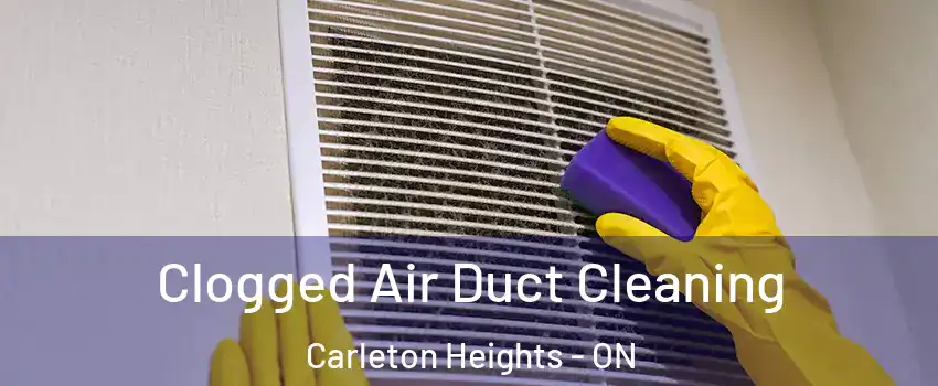  Clogged Air Duct Cleaning Carleton Heights - ON