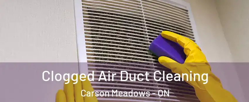  Clogged Air Duct Cleaning Carson Meadows - ON