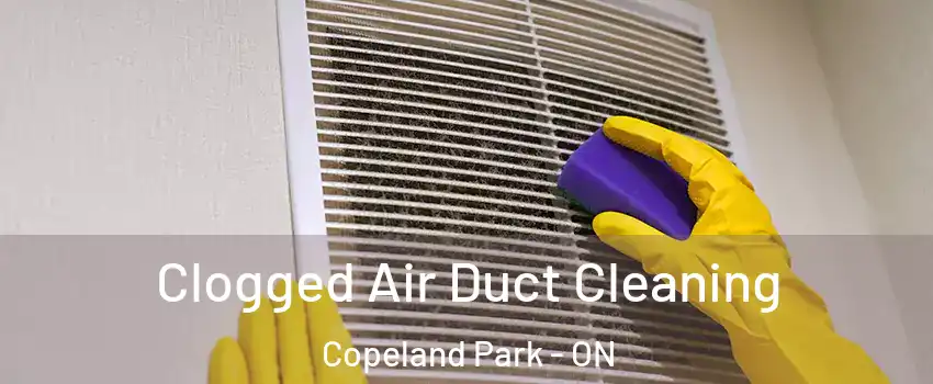  Clogged Air Duct Cleaning Copeland Park - ON