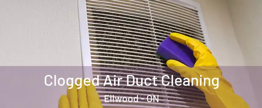  Clogged Air Duct Cleaning Ellwood - ON