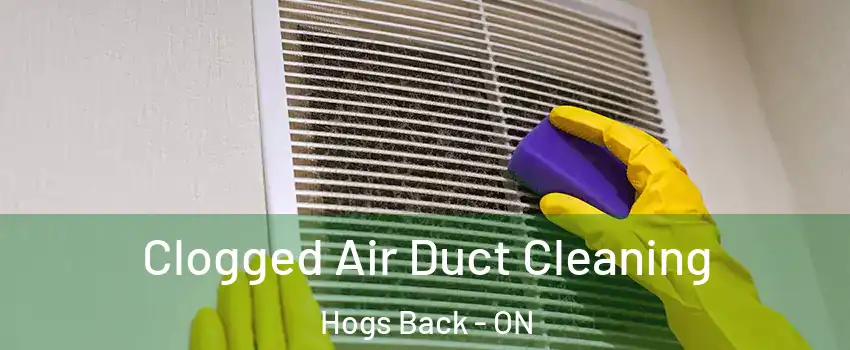  Clogged Air Duct Cleaning Hogs Back - ON