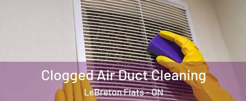  Clogged Air Duct Cleaning LeBreton Flats - ON