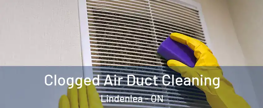  Clogged Air Duct Cleaning Lindenlea - ON