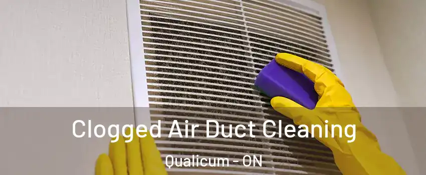  Clogged Air Duct Cleaning Qualicum - ON