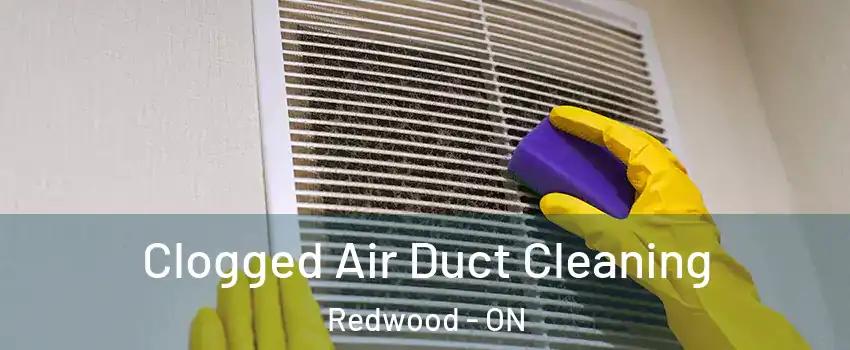  Clogged Air Duct Cleaning Redwood - ON