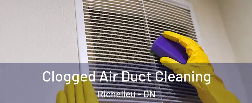  Clogged Air Duct Cleaning Richelieu - ON