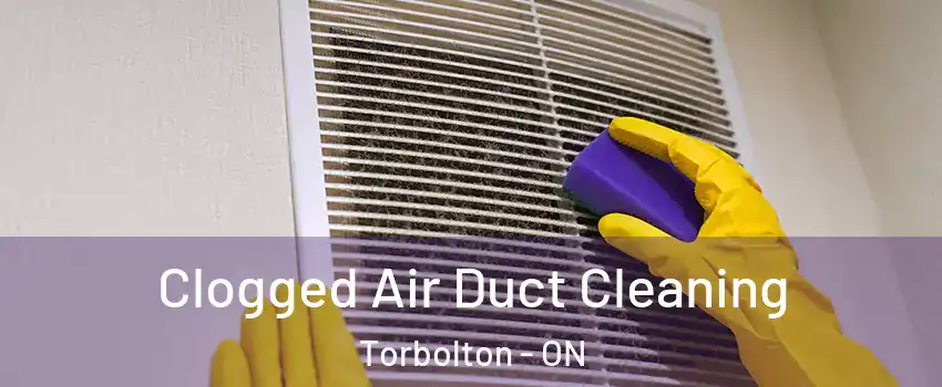  Clogged Air Duct Cleaning Torbolton - ON