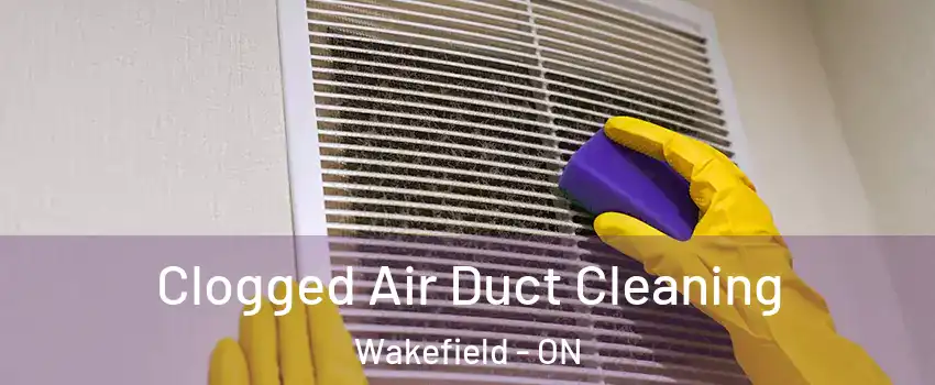  Clogged Air Duct Cleaning Wakefield - ON