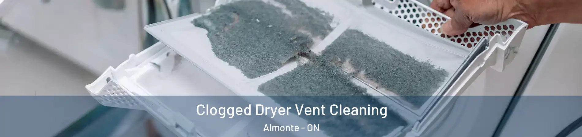  Clogged Dryer Vent Cleaning Almonte - ON