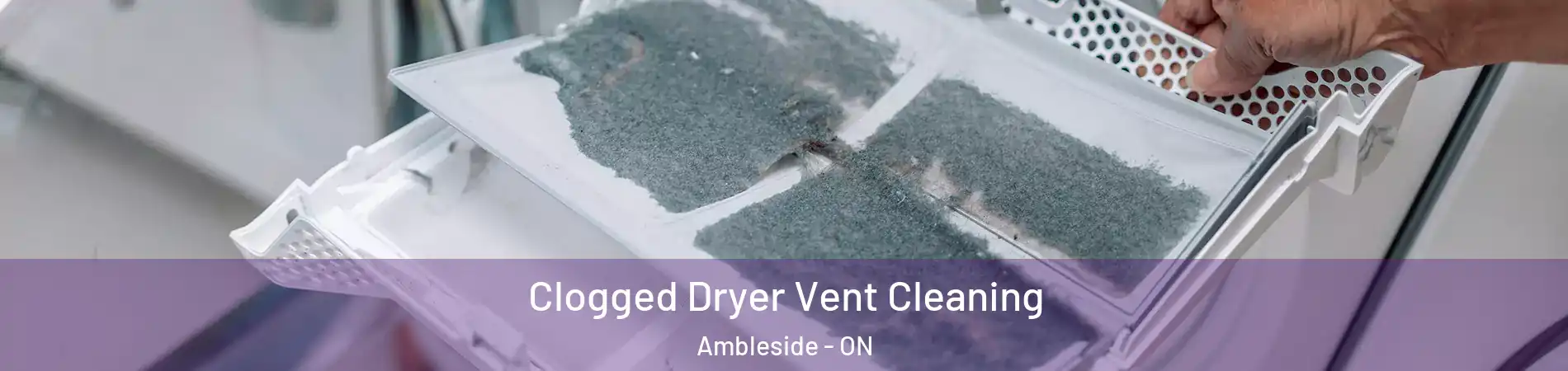  Clogged Dryer Vent Cleaning Ambleside - ON