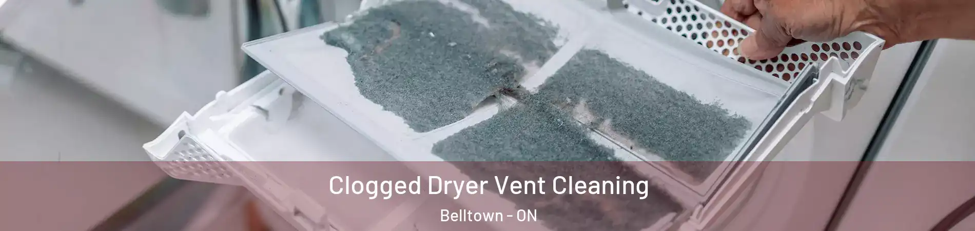  Clogged Dryer Vent Cleaning Belltown - ON