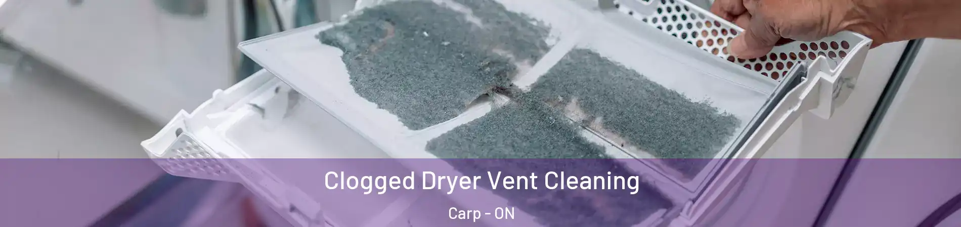  Clogged Dryer Vent Cleaning Carp - ON