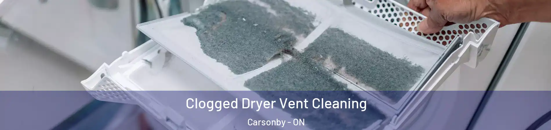  Clogged Dryer Vent Cleaning Carsonby - ON