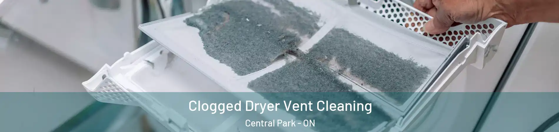  Clogged Dryer Vent Cleaning Central Park - ON