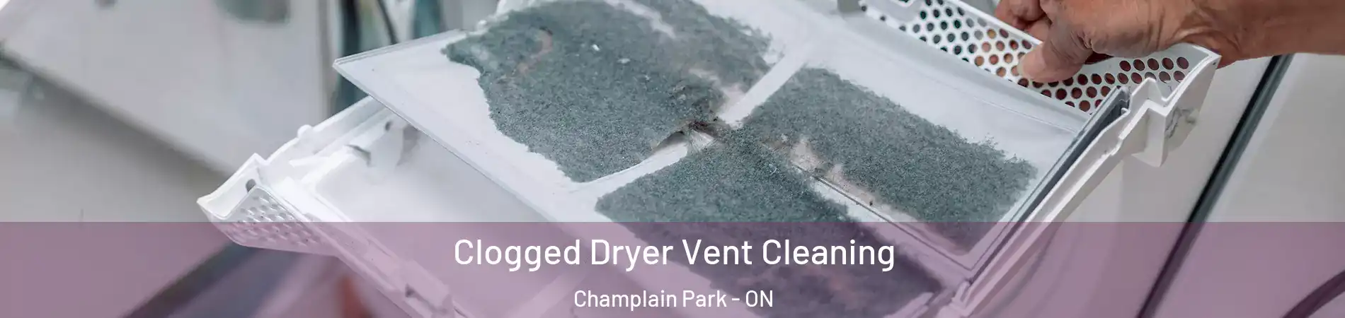  Clogged Dryer Vent Cleaning Champlain Park - ON