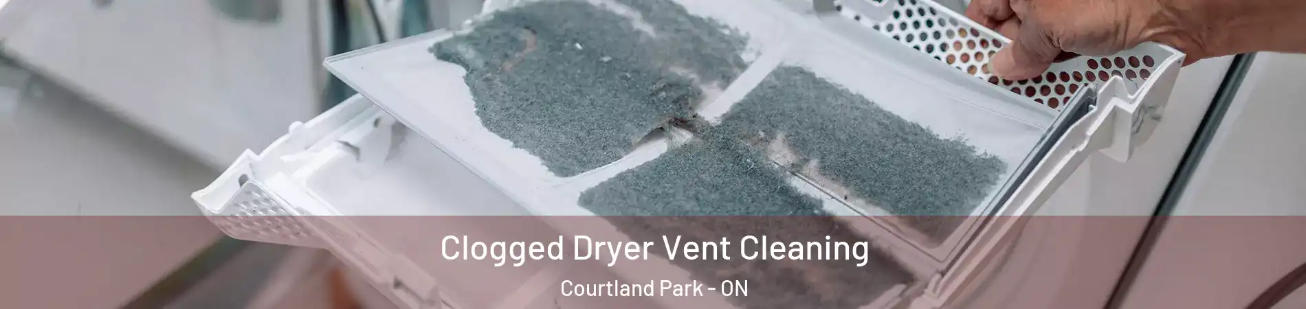  Clogged Dryer Vent Cleaning Courtland Park - ON