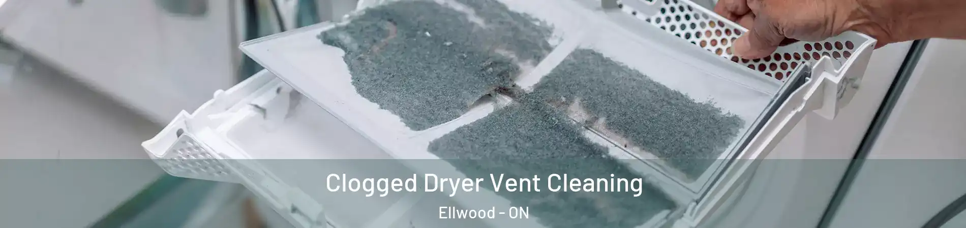  Clogged Dryer Vent Cleaning Ellwood - ON