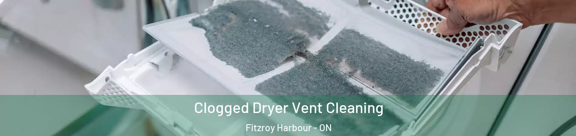  Clogged Dryer Vent Cleaning Fitzroy Harbour - ON