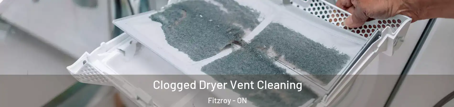  Clogged Dryer Vent Cleaning Fitzroy - ON